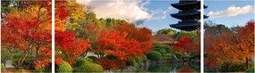 Obraz - Tō-ji (170x50 cm)