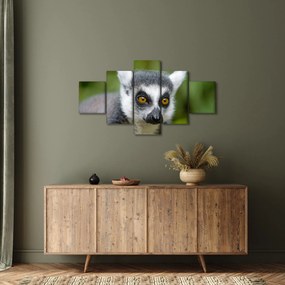 Obraz lemura (125x70 cm)