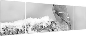 Obraz - Ptak na gałęzi (170x50 cm)