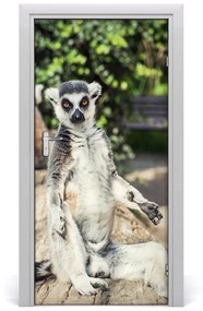 Naklejka samoprzylepna na drzwi Lemur