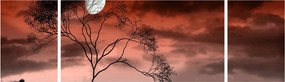 Obraz - Księżyc oświetlający noc (170x50 cm)