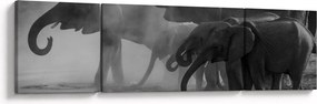 Obraz słoni - czarno - biały (170x50 cm)