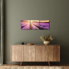 Obraz - Wschód słońca na polu lawendy (z zegarem) (90x30 cm)