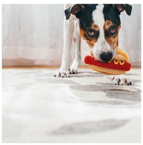 Zabawka dla psa Hot Dog – P.L.A.Y.