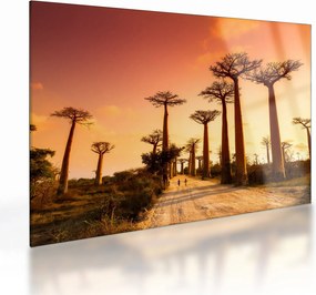 Obraz na szkle - Zachód słońca w Baobab Alley (70x50 cm)