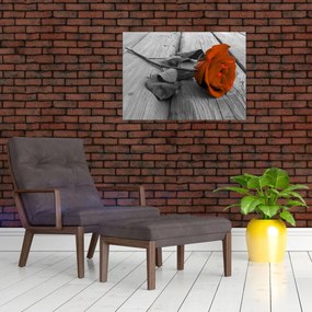 Obraz - Pomarańczowa róża (70x50 cm)