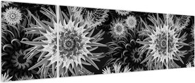 Obraz - Czarne i białe osty (170x50 cm)