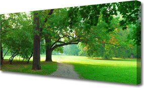 Obraz canvas Aleja w Cieniu Drzew