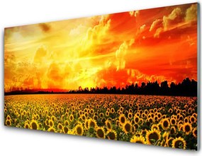 Szkło Dekoracyjne do Kuchni Słoneczniki na Polnej Łące