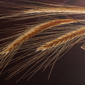 Obraz - Fragment kłosa żyta (170x50 cm)
