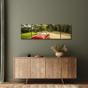 Obraz - zabytkowy samochód w przyrodzie (170x50 cm)