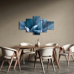 Obraz - Agawa (125x70 cm)
