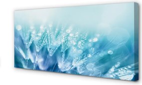 Obraz na płótnie Artystyczna Wizja Dmuchawca