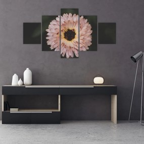 Obraz pomarańczowego kwiatu (125x70 cm)