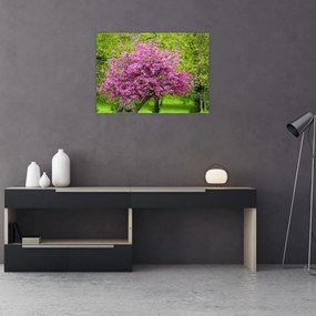 Obraz kwitnącego drzewa na łące (70x50 cm)