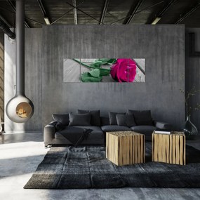 Obraz - Różowa róża z zieloną łodygą (170x50 cm)
