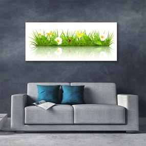 Obraz canvas na ścianę Zielona Świeżość Trawy