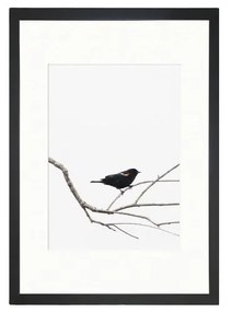 Obraz 24x29 cm Bird on the Branch – Vavien Artwork
