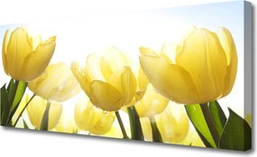 Obraz canvas Jezioro pod Leśną Kaskadą