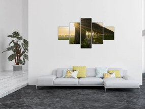 Obraz alei (125x70 cm)