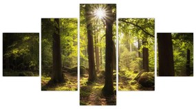 Obraz sennego lasu (125x70 cm)