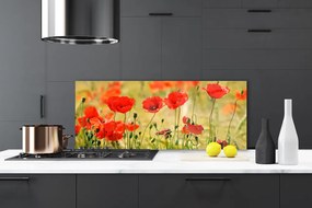 Szkło do Kuchni na Ścianę Polne Maki w Rozkwicie