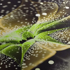 Obraz - Szczegół kwiatu (125x70 cm)