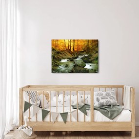 Obraz - Las (70x50 cm)