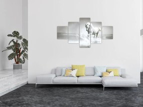 Obraz - Biały koń (125x70 cm)