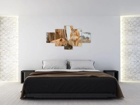 Obraz - dwie lwice (125x70 cm)