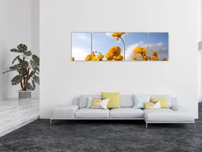 Obraz pola z jasnożółtymi kwiatami (170x50 cm)