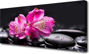 Obraz canvas Śnieżnobiały Storczyk w Detalu