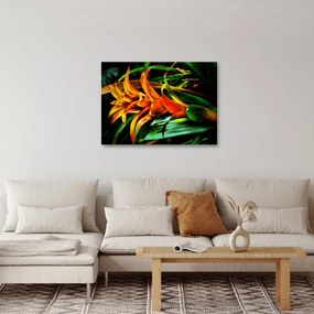 Obraz pomarańczowego kwiatu (70x50 cm)