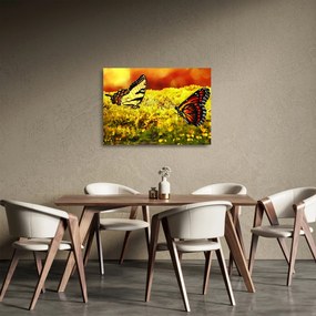 Obraz na szkle - motyle (70x50 cm)