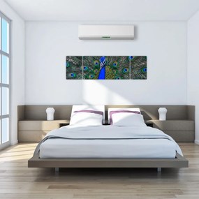 Obraz - Paw (170x50 cm)