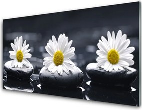 Panel nad blat kuchenny Stokrotka Wśród Kamieni