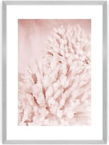 Plakat Pastel Pink II