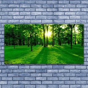 Obraz na płótnie Spokojna Aleja w Parku