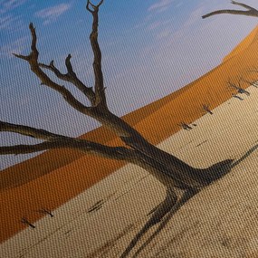 Obraz - Dolina Śmierci (125x70 cm)
