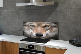 Panel Kuchenny Szklany Intensywne Oczy Wilka