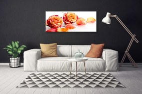 Obraz canvas Aksamitne Róże w Ogrodzie