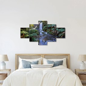 Obraz australijskiego lasu deszczowego (125x70 cm)