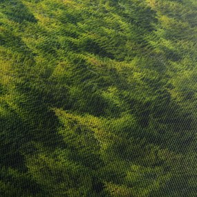 Obraz - Gęsty las (170x50 cm)
