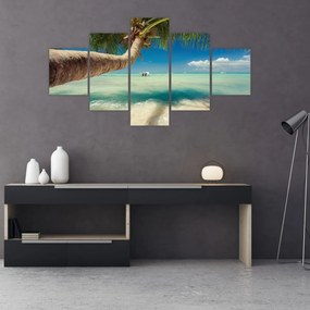 Obraz - Czyste morze z palmą (125x70 cm)