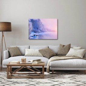 Obraz - Zamarznięta rzeka (70x50 cm)