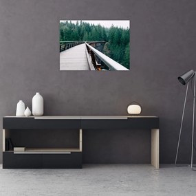 Obraz - Most do wierzchołków drzew (70x50 cm)