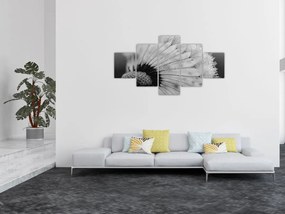 Obraz dmuchawca, czarno - biały (125x70 cm)