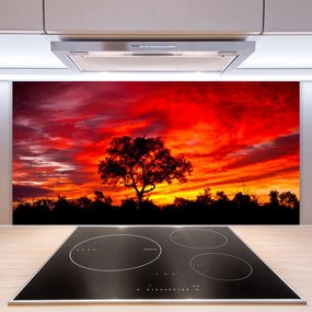 Szkło do Kuchni na Ścianę Głusza Leśnej Natury