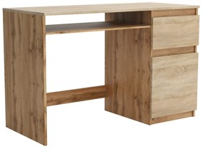 Biurko komputerowe młodzieżowe szkolne 120 cm REMI1 Dąb Wotan/Dąb Sonoma