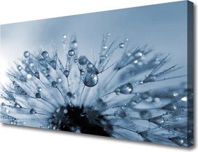 Obraz canvas Dmuchawiec w Porannej Rosie